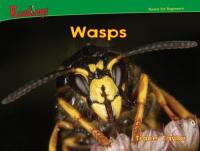 Wasps