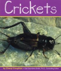 Crickets