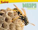 Wasps