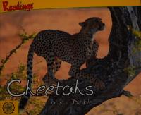 Cheetahs