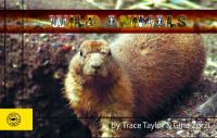 Wild Animals