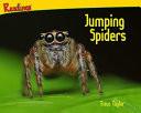 Jumping Spiders