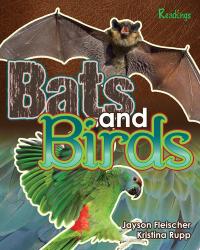 Bats and Birds