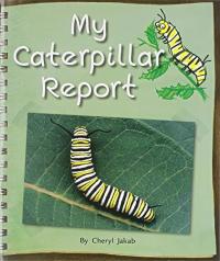 Rigby Flying Colors Individual Student Edition Red My Caterpillar Report