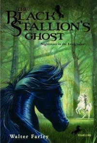 The Black Stallion's Ghost