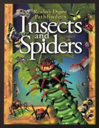 Insects and Spiders