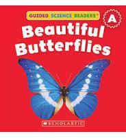 Beautiful Butterflies