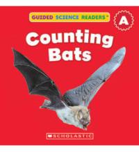 Counting Bats