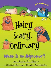 Hairy, Scary, Ordinary What Is an Adjective?