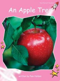 An Apple Tree