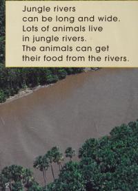 In the Jungle River