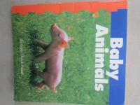 Animal Babies