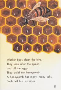 Honey Bees/Ssn/Lv2/Ext4