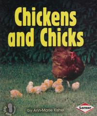 Chickens and Chicks