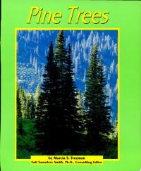 Pine Trees