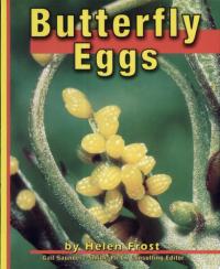 Butterfly Eggs