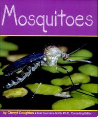 Mosquitoes