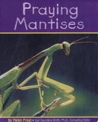 Praying Mantises