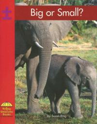 Big or Small? (Yellow Umbrella Emergent Level)