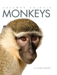 Amazing Animals: Monkeys