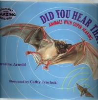 Did You Hear That? Animals with Super Hearing