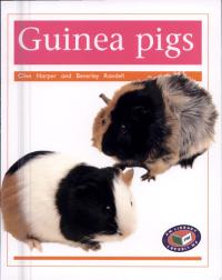 Guinea Pigs