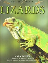 Nature Watch -- Lizards