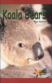 Koala Bears