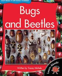 Bugs and Beetles