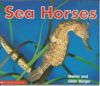 Sea Horses