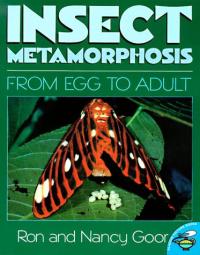 Insect Metamorphosis