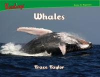 Whales