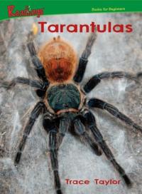 Tarantulas