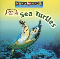 Sea Turtles