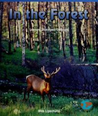 In the Forest Learning Directional Concepts