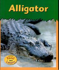 Alligator