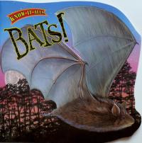 Bats! Know It Alls