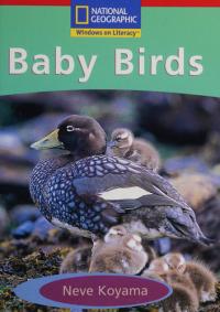 Windows on Literacy Emergent (Science: Life Science): Baby Birds