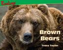 Brown Bears
