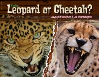 Leopard or Cheetah?