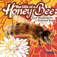 The Life of a Honey Bee