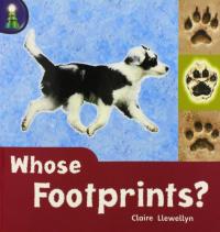 Whose Footprints?