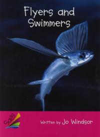 Rigby Sails Emergent Leveled Reader Flyers and Swimmers, Satellite