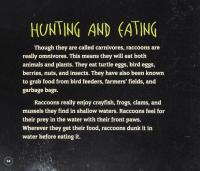 Hunters of the Night