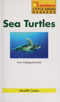 Sea Turtles