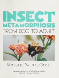 Insect Metamorphosis From Egg to Adult