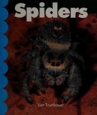 Spiders