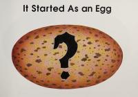 It Started as an Egg