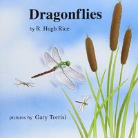 Dragonflies