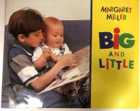 Reading 2002 Big Book Grade K Book 2 Big and Little